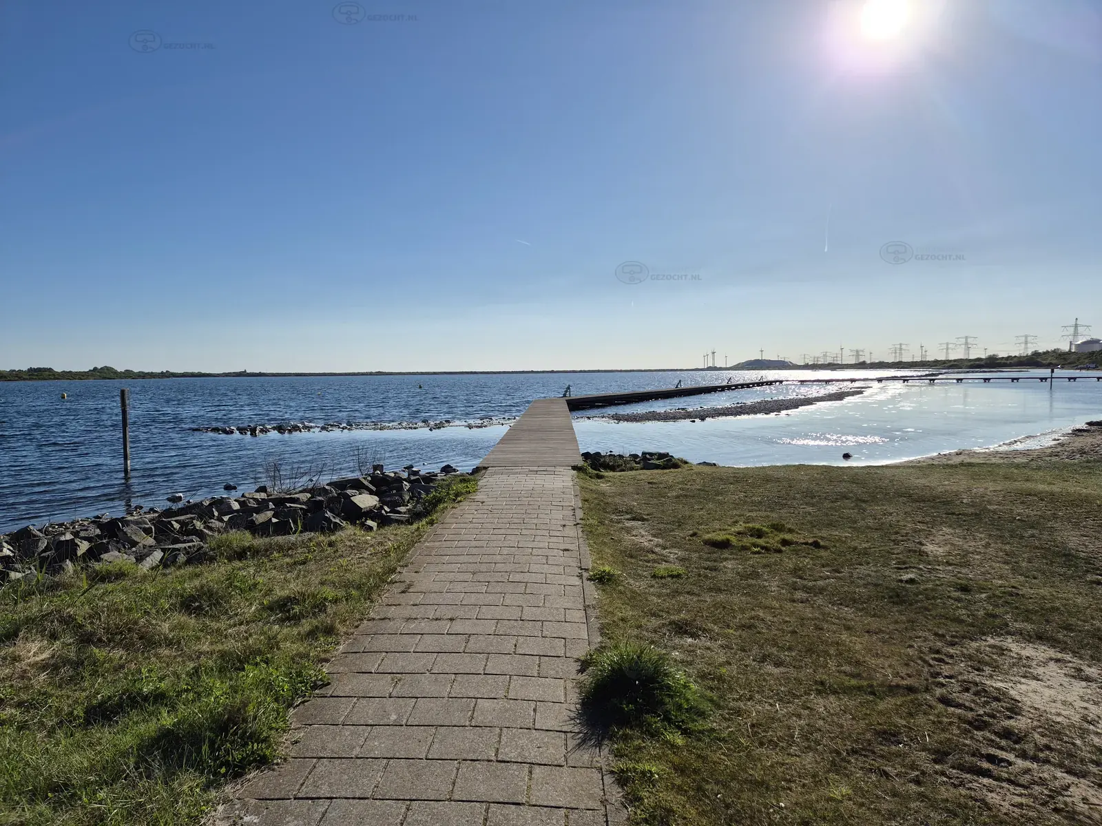 Slag stormvogel